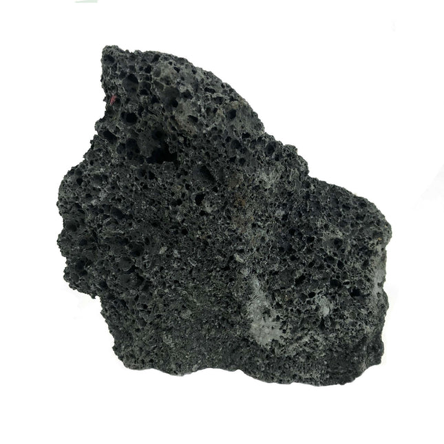 AnimalstoreXL Premium Lava Black S x3