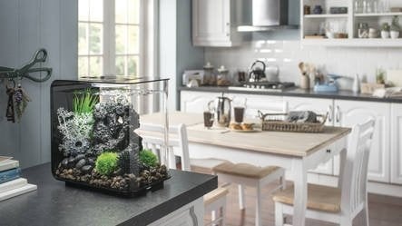 AnimalstoreXL Flow 30 MCR Zwart