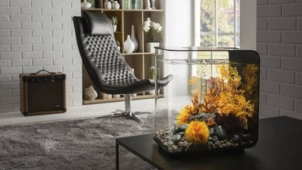 AnimalstoreXL Flow 30 MCR Zwart