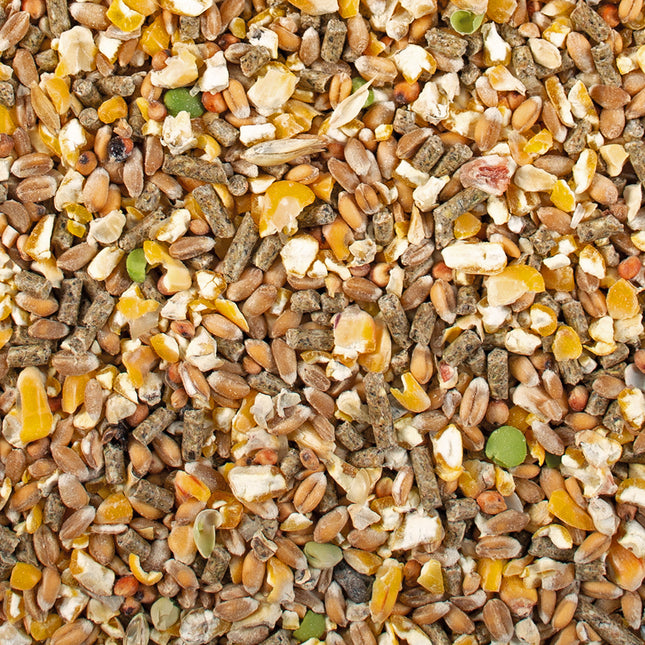 AnimalstoreXL Kippenvoer Leggraan Mix 4,5kg