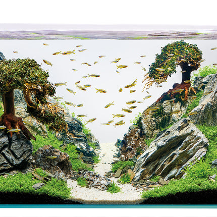 AnimalstoreXL ScaperLine 100 Aquarium