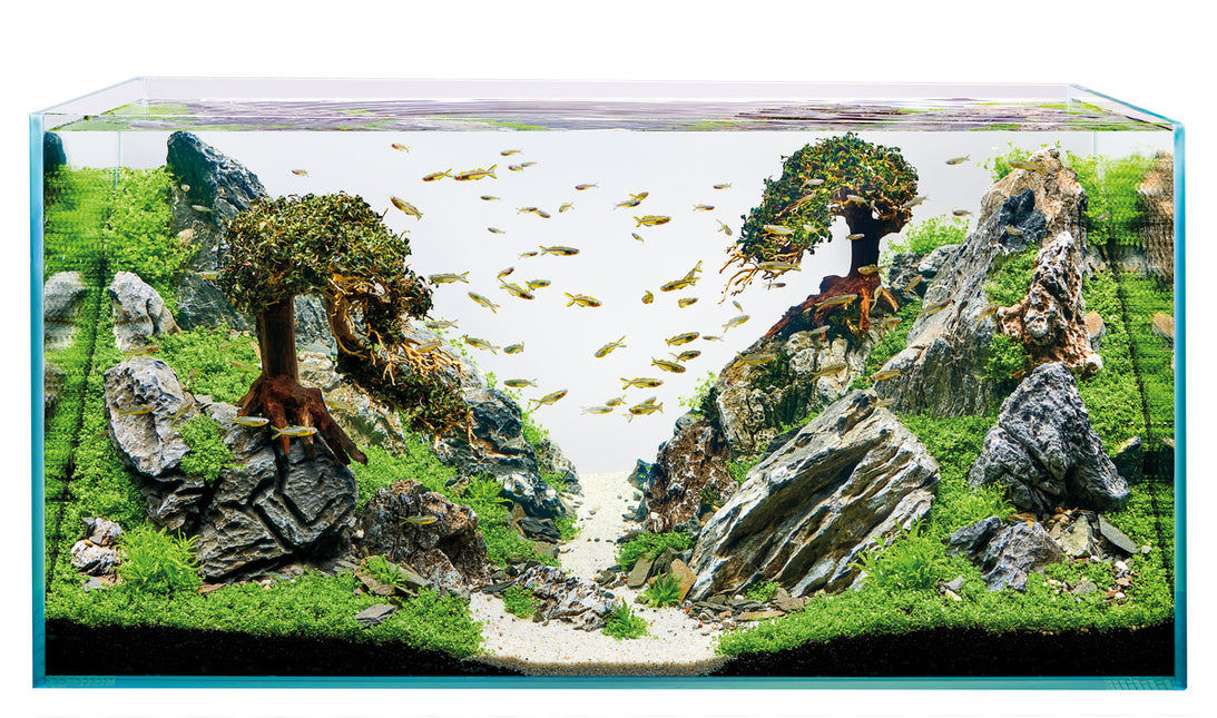 AnimalstoreXL ScaperLine 100 Aquarium