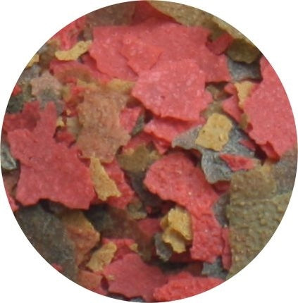 AnimalstoreXL Freshwater Flakes