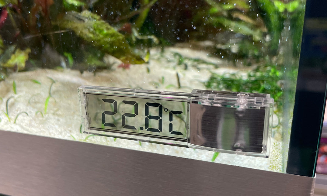 AnimalstoreXL Digitale Plakthermometer Zilver