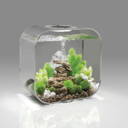 AnimalstoreXL Life 30 MCR Clear