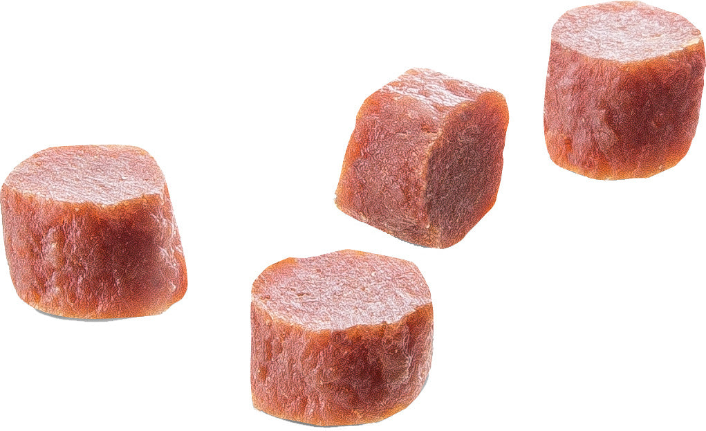 AnimalstoreXL Ducktrainer 100g Voordeelbundel