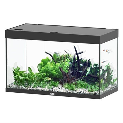 AnimalstoreXL Sublime 100x50 aquarium