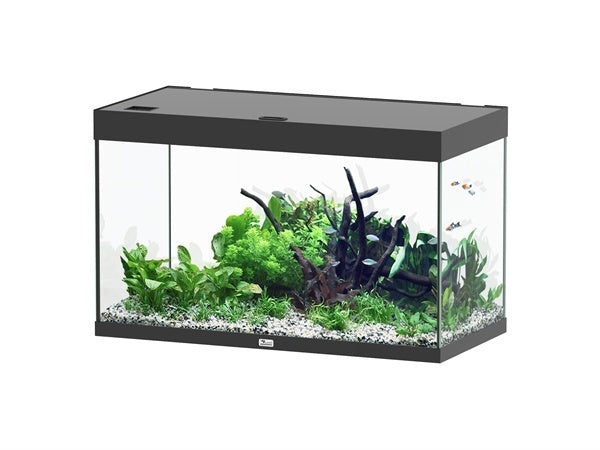 AnimalstoreXL Sublime 100x50 aquarium