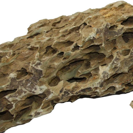 AnimalstoreXL Dragon rock / Drakensteen