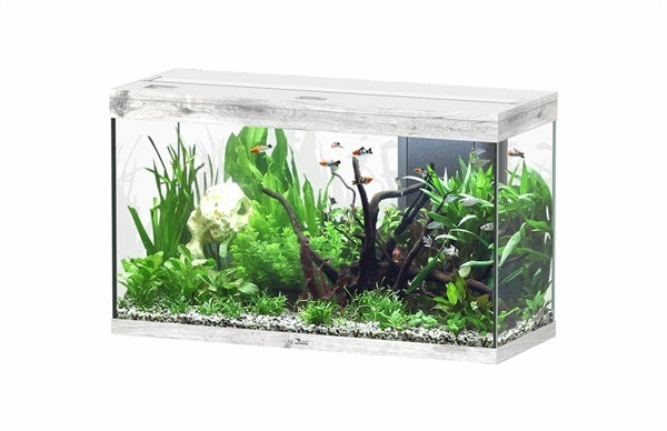 AnimalstoreXL Splendid 100 aquarium