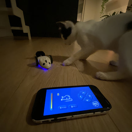 AnimalstoreXL Race 'N Chase Muis