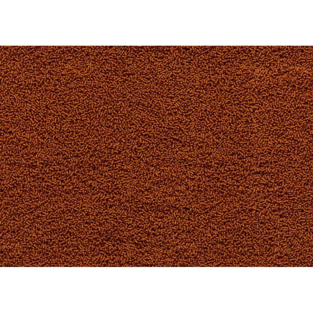 AnimalstoreXL Goldfish Gold Japan