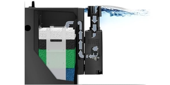 AnimalstoreXL EccoSkim