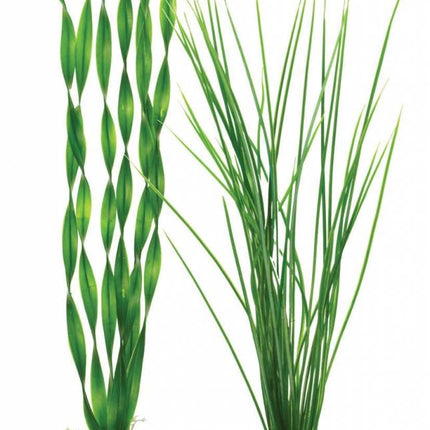 AnimalstoreXL Easy plants 2x large groen