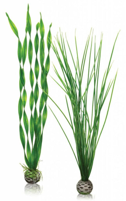 AnimalstoreXL Easy plants 2x large groen