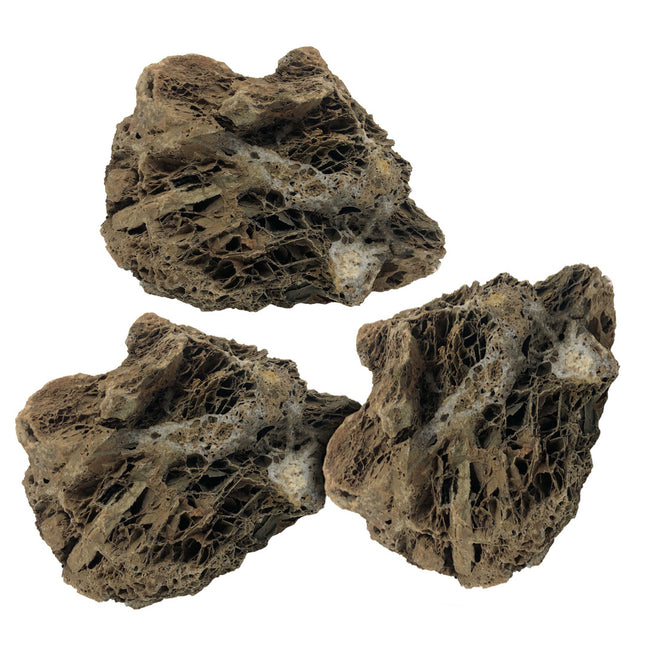 AnimalstoreXL Maple Leaf Rock S x3