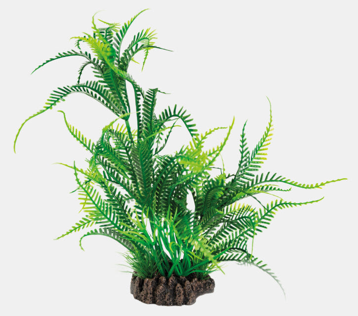 AnimalstoreXL Art Plant 25cm Microsorum