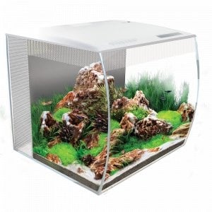 AnimalstoreXL Flex Aquarium Compleet 57L Wit