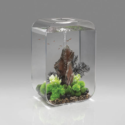 AnimalstoreXL Life 60 MCR Clear