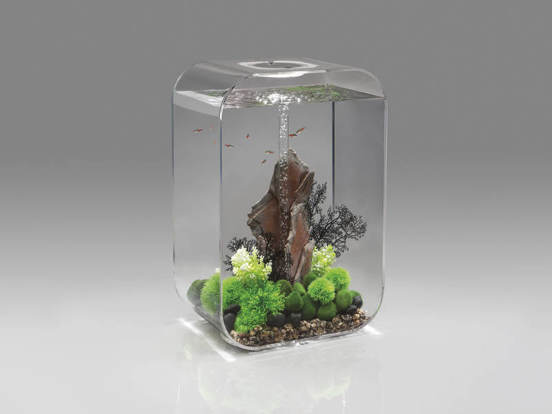 AnimalstoreXL Life 60 MCR Clear