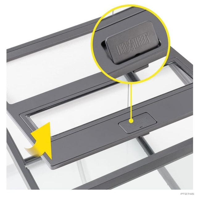 AnimalstoreXL Pijlgifkikkerterrarium 45x45x45cm