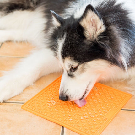 AnimalstoreXL Likmat Buddy Hond Oranje 28cm