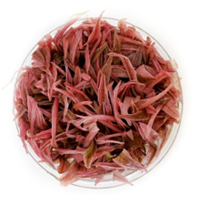 AnimalstoreXL Cryptocoryne Wendtii ‘Flamingo’ in vitro