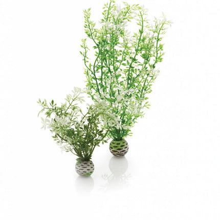 AnimalstoreXL Easy plants 2x medium winter bloemen