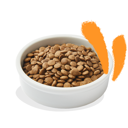 AnimalstoreXL Edgard & Cooper Brok Volwassen Kat Vrije-uitloopkip Graanvrij