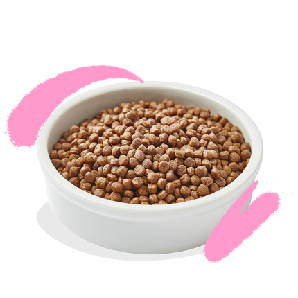 AnimalstoreXL Edgard & Cooper Brok Kitten Scharreleend & Vrij-uitloopkip Graanvrij