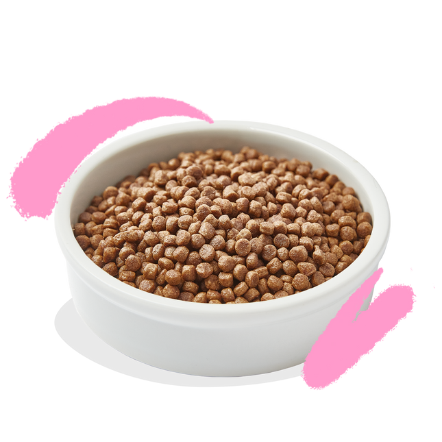 AnimalstoreXL Edgard & Cooper Brok Kitten Scharreleend & Vrij-uitloopkip Graanvrij