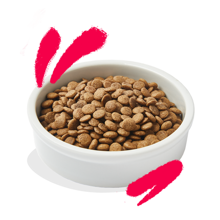 AnimalstoreXL Edgard & Cooper Brok Senior Kat Vrije-uitloop Kalkoen & Kip Graanvrij 2kg