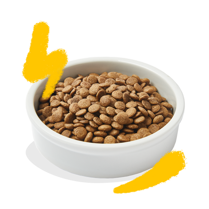 AnimalstoreXL Edgard & Cooper Brok Volwassen Kat Vrije-uitloop Kalkoen & Kip Graanvrij