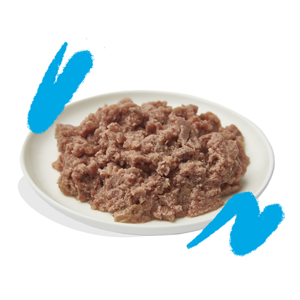 AnimalstoreXL Edgard & Cooper Volwassen Kat Paté Zalm & Scharrelkip Graanvrij