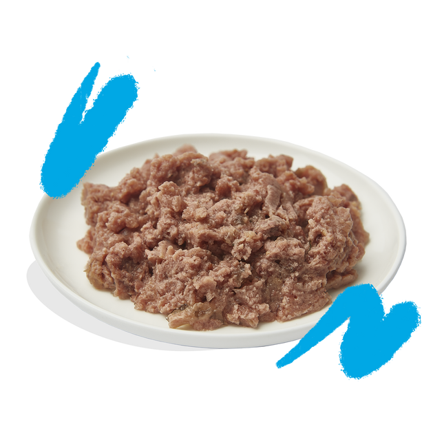 AnimalstoreXL Edgard & Cooper Volwassen Kat Paté Zalm & Scharrelkip Graanvrij