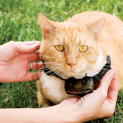 Petsafe Extra Halsband Cat Fence