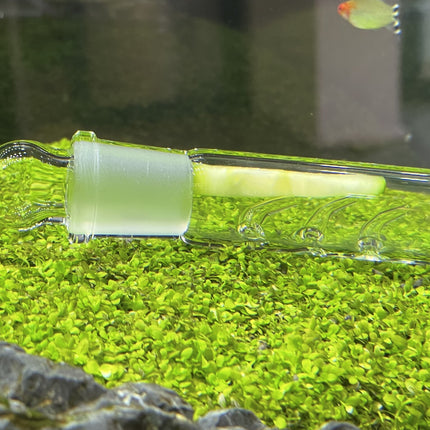 AnimalstoreXL Glazen Slakkenval