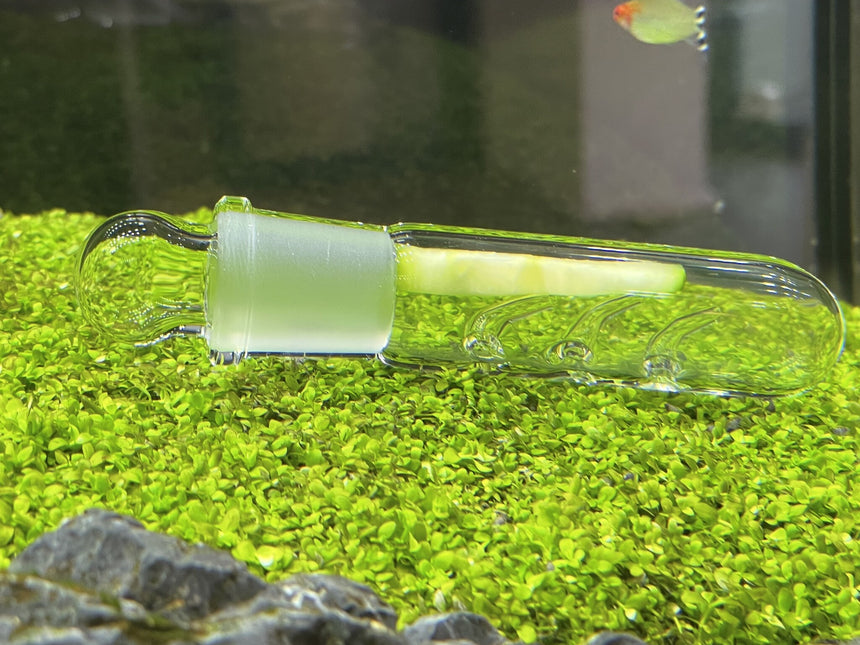 AnimalstoreXL Glazen Slakkenval